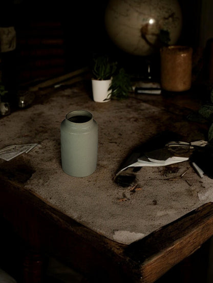 Leo Ceramic Pot