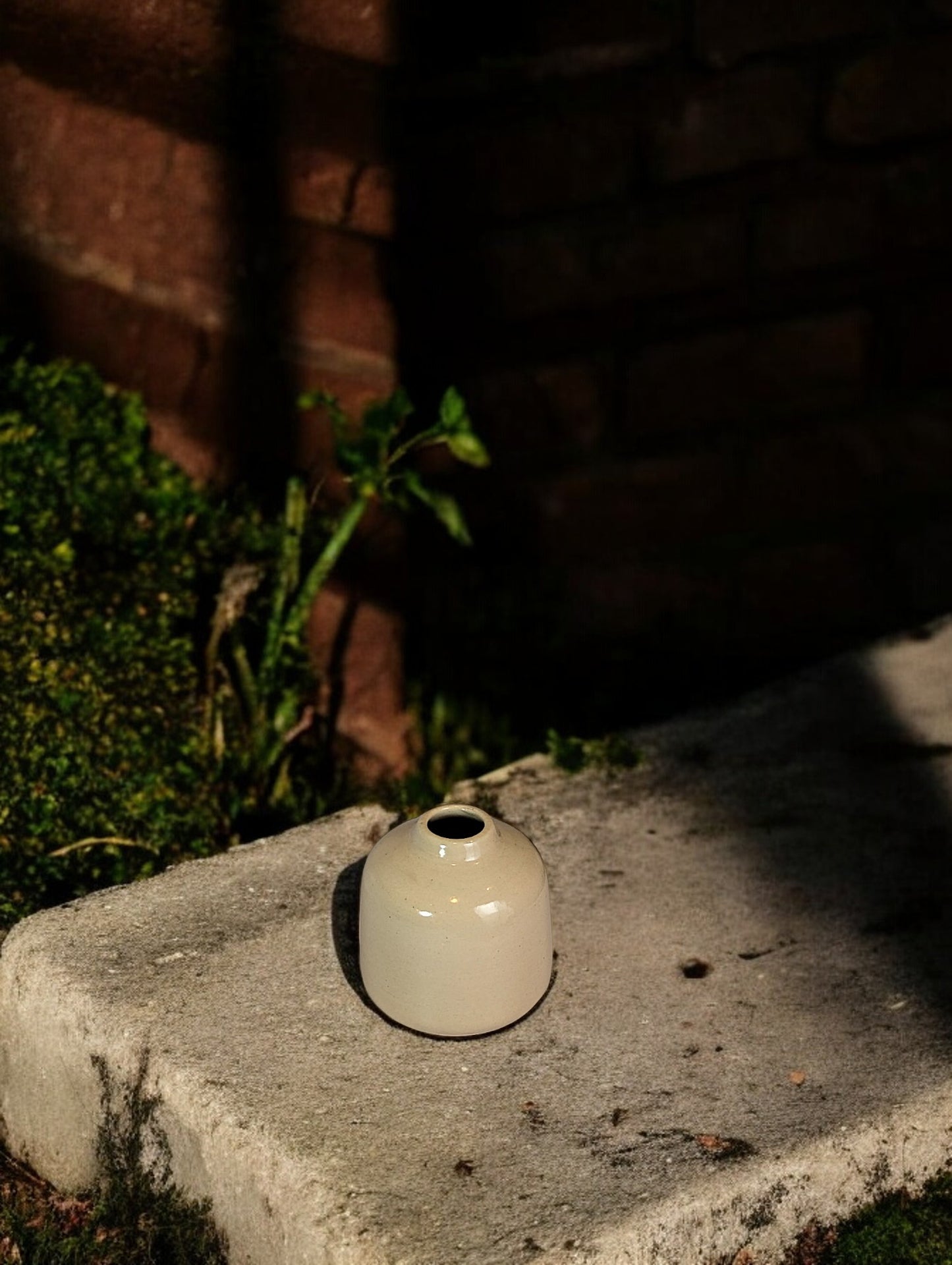 Calisto Ceramic Pot