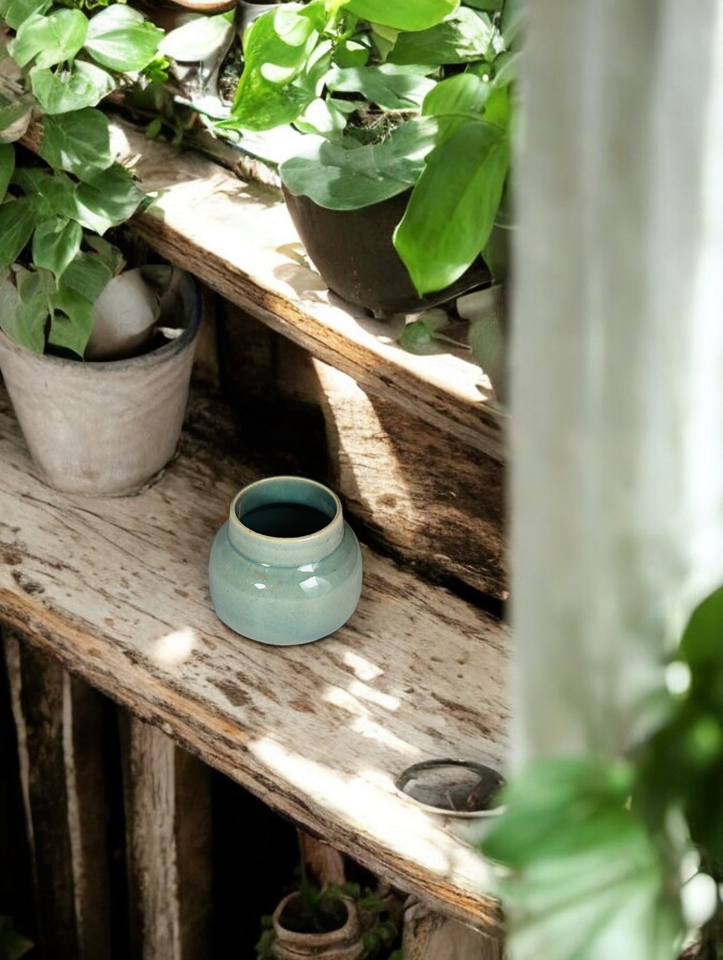 Romy Ceramic Pot